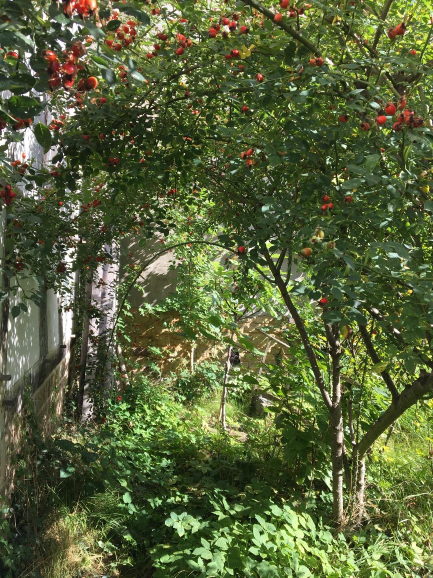 Cherrytree Cottage 1840 ไฮม์บาค ภายนอก รูปภาพ