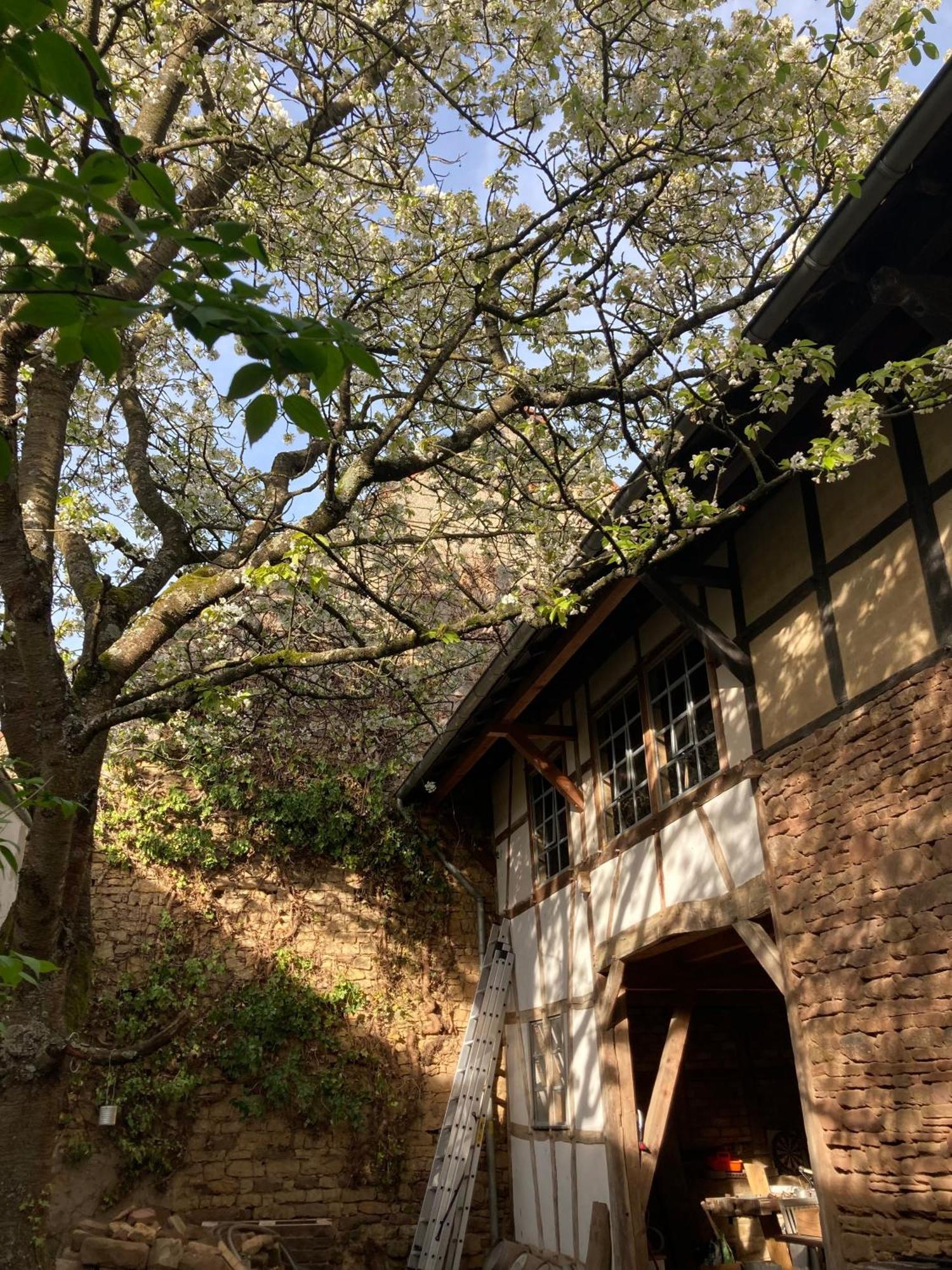 Cherrytree Cottage 1840 ไฮม์บาค ภายนอก รูปภาพ