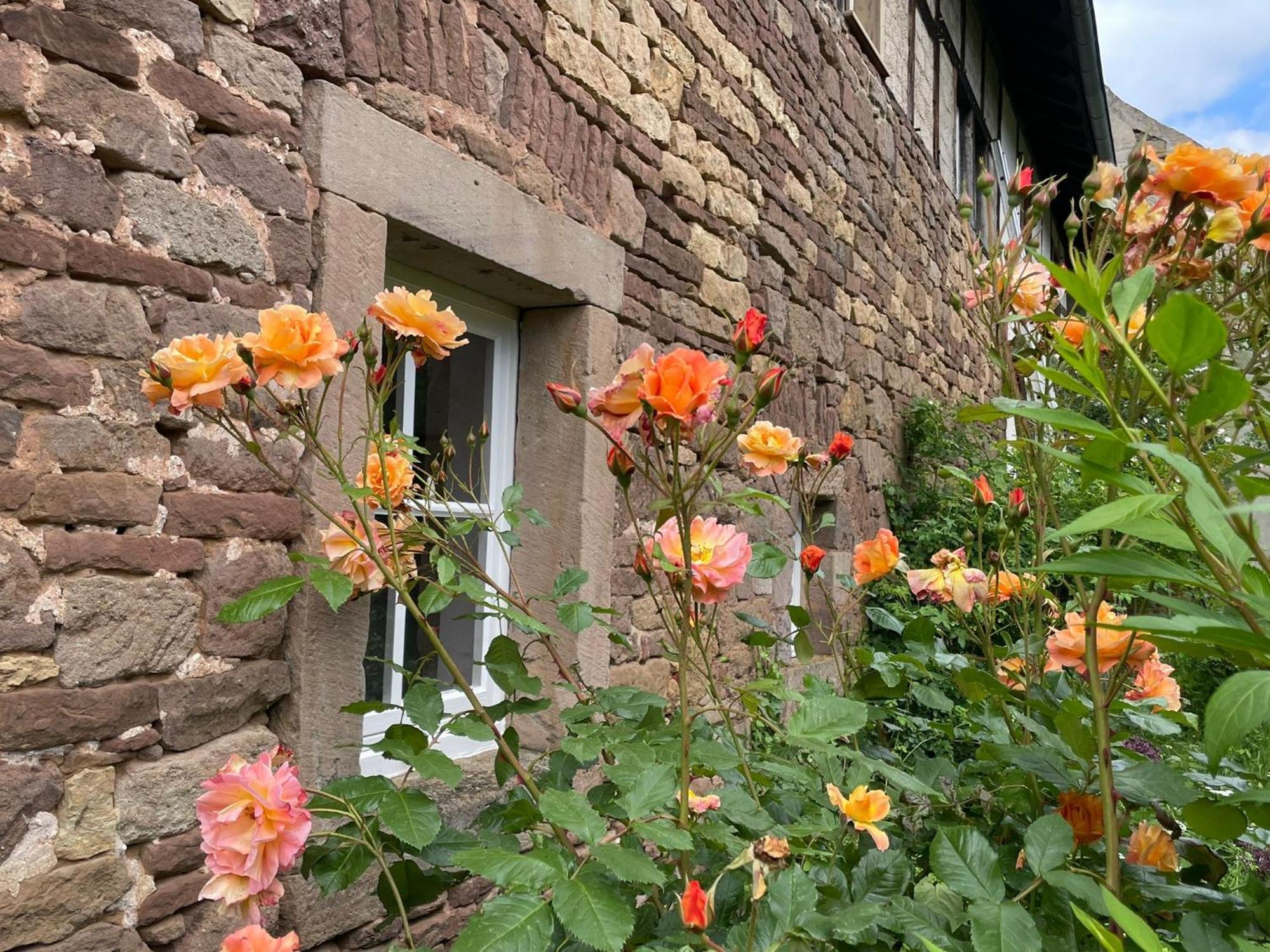 Cherrytree Cottage 1840 ไฮม์บาค ภายนอก รูปภาพ